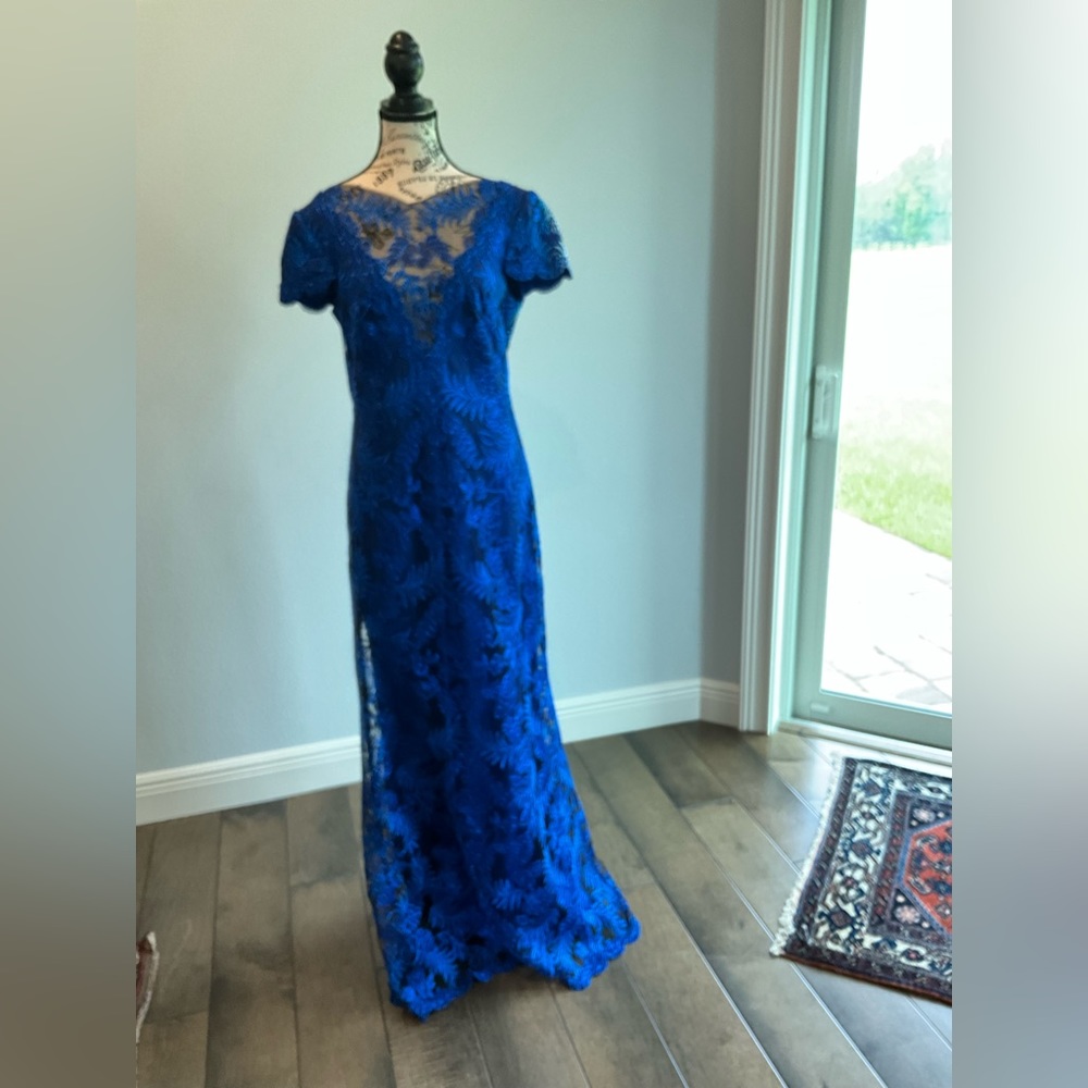 Tasashi Shoji Size 10 evening gown
